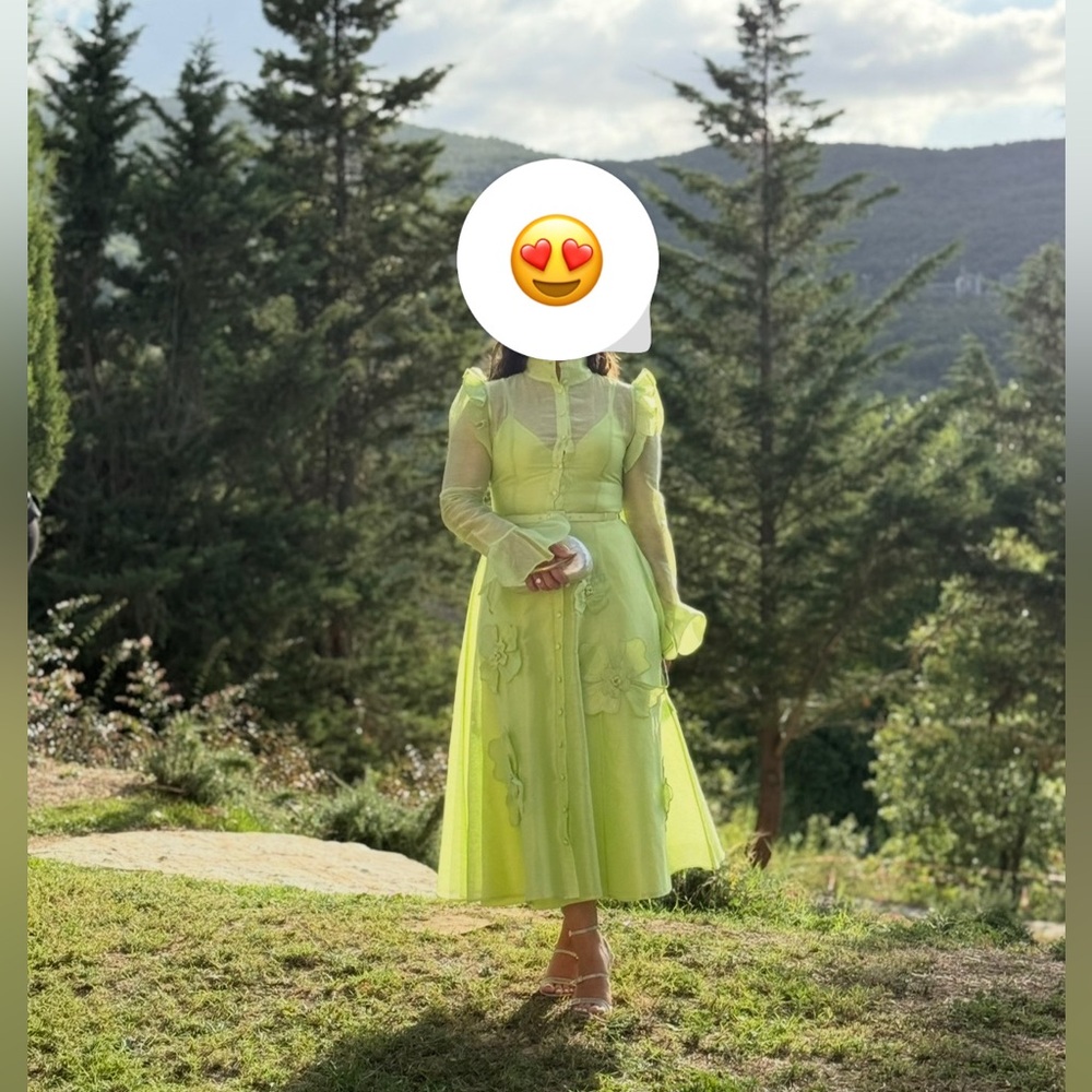 Leo Lin Katrina Petal Butterfly Sleeve Midi Dress - Picture 9 of 13
